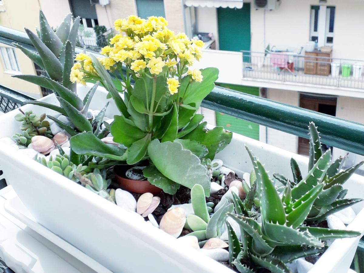 كالياري Insula B&B المظهر الخارجي الصورة